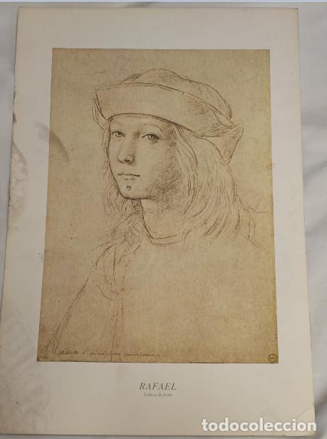 Arte: LAMINA, RAFAEL, CABEZA DE JOVEN, ALGO MANCHADA