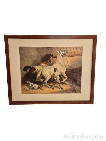 Arte: L&aacute;mina Enmarcada - Caballos de Silla y de Tiro&rdquo;Chevaux de Selle et d'Attelage&rdquo;, Alfred de Dreux