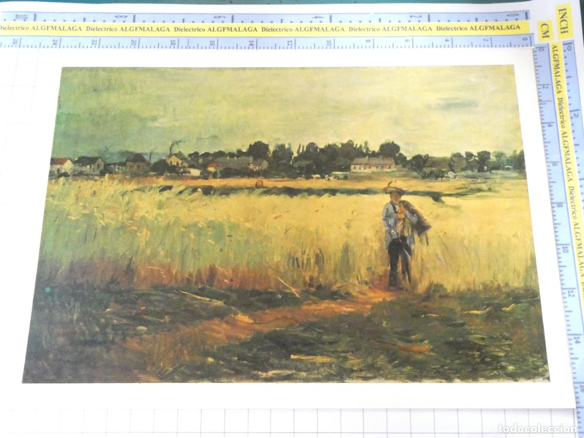Arte: L&Aacute;MINA ARTE PINTURA MUSEO JEU DE PAUME PARIS. CAMPO DE TRIGO DE AUGUSTE RENOIR. 32