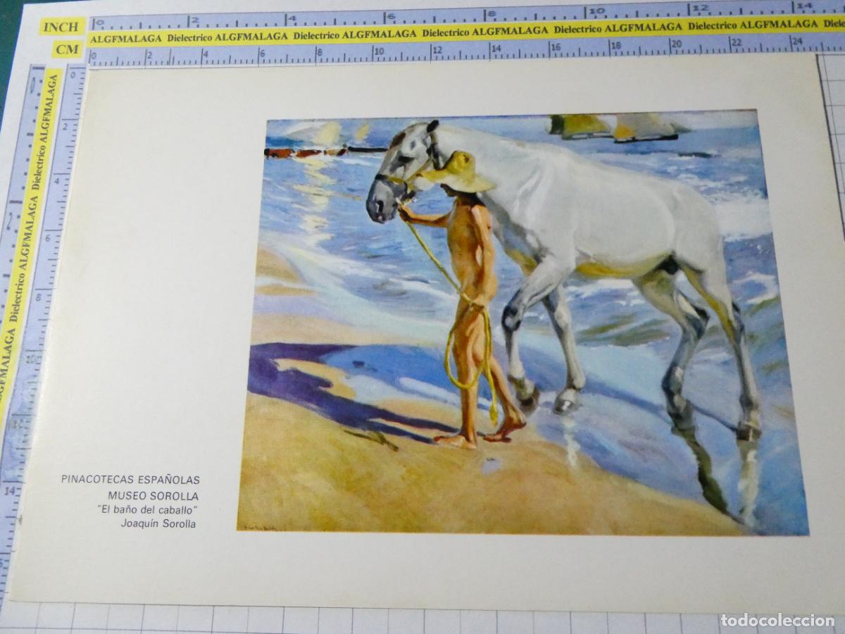 Arte: L&Aacute;MINA ARTE PINTURA. EL BA&Ntilde;O DEL CABALLO DE JOAQU&Iacute;N SOROLLA. 7