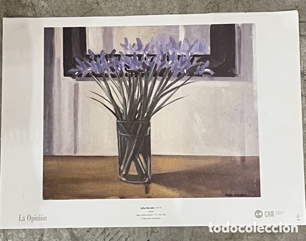 Arte: Sof&iacute;a Morales. &ldquo;Lirios&rdquo;. CAM. 1995. Colecci&oacute;n 150 a&ntilde;os de pintura en Murcia. L&aacute;mina.