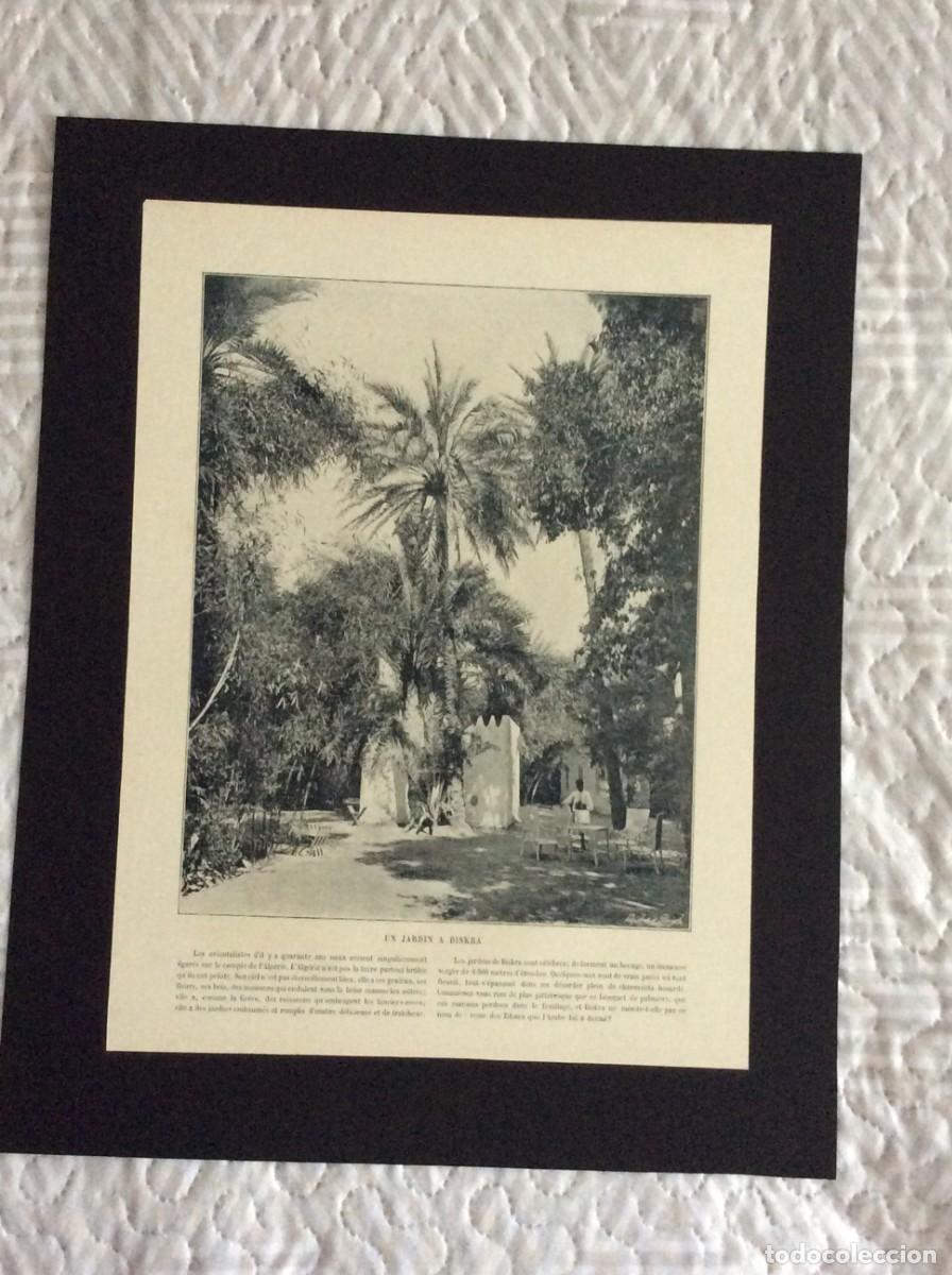 Arte: Un jardin a Biskra - L&aacute;mina fotogr&aacute;fica monocrom&aacute;tica do s&eacute;culo XIX. Envio gr&aacute;tis