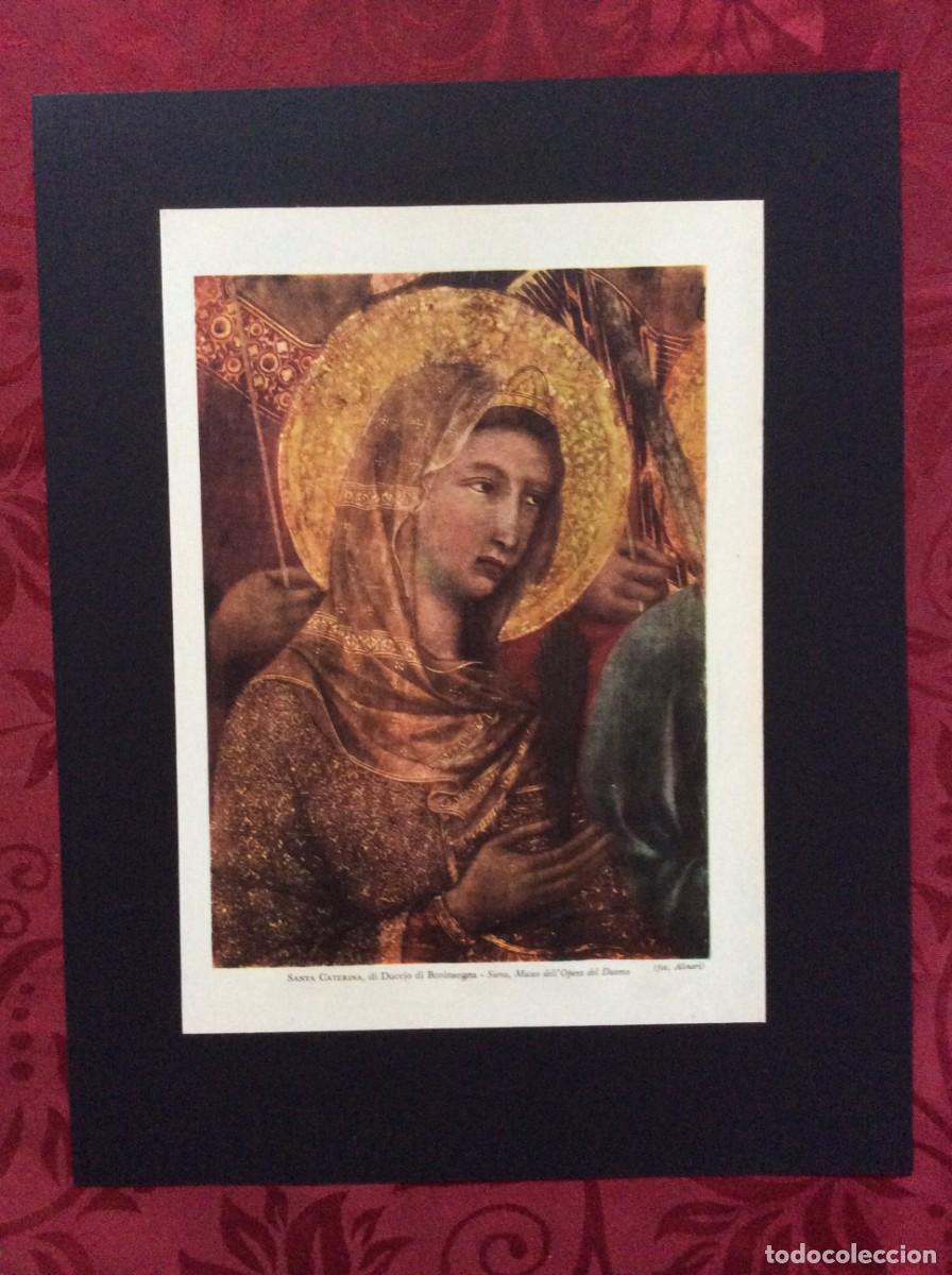 Arte: Arte antiga italiana - Santa Caterina, di Duccio di Boninsegna - Siena- L&aacute;mina colorida, ano 1951