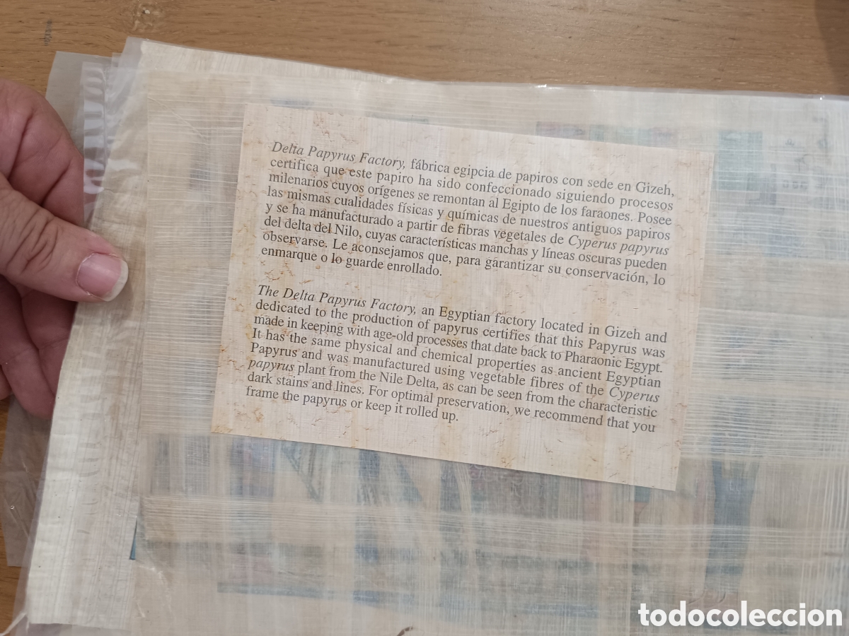 Arte: Lote de 9 papiros Egipcios