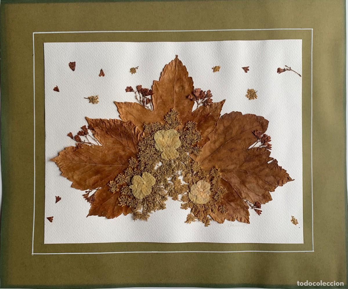 Arte: LAMINA CON HOJAS SECAS NATURALES PEGADAS. FIRMADA Y FECHADA ILEGIBLE. MEDIDAS: 36 X 30. VER FOTOS.