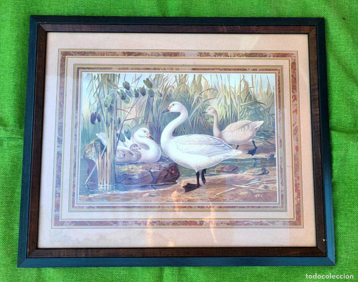 Arte: L&aacute;mina art&iacute;stica vintage de patos estilo granja antigua, anos 1980