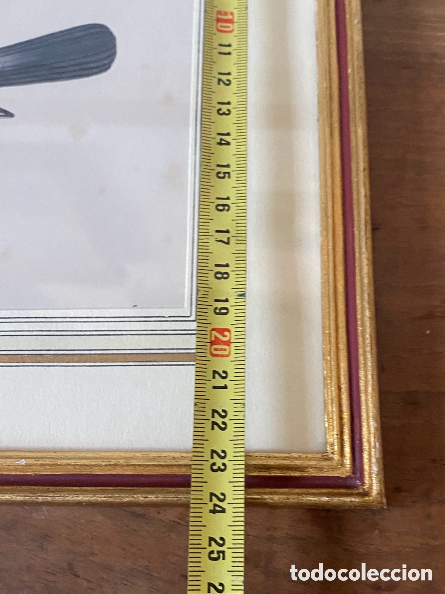 Arte: Cuadro vintage l&aacute;mina ave - Foto 9