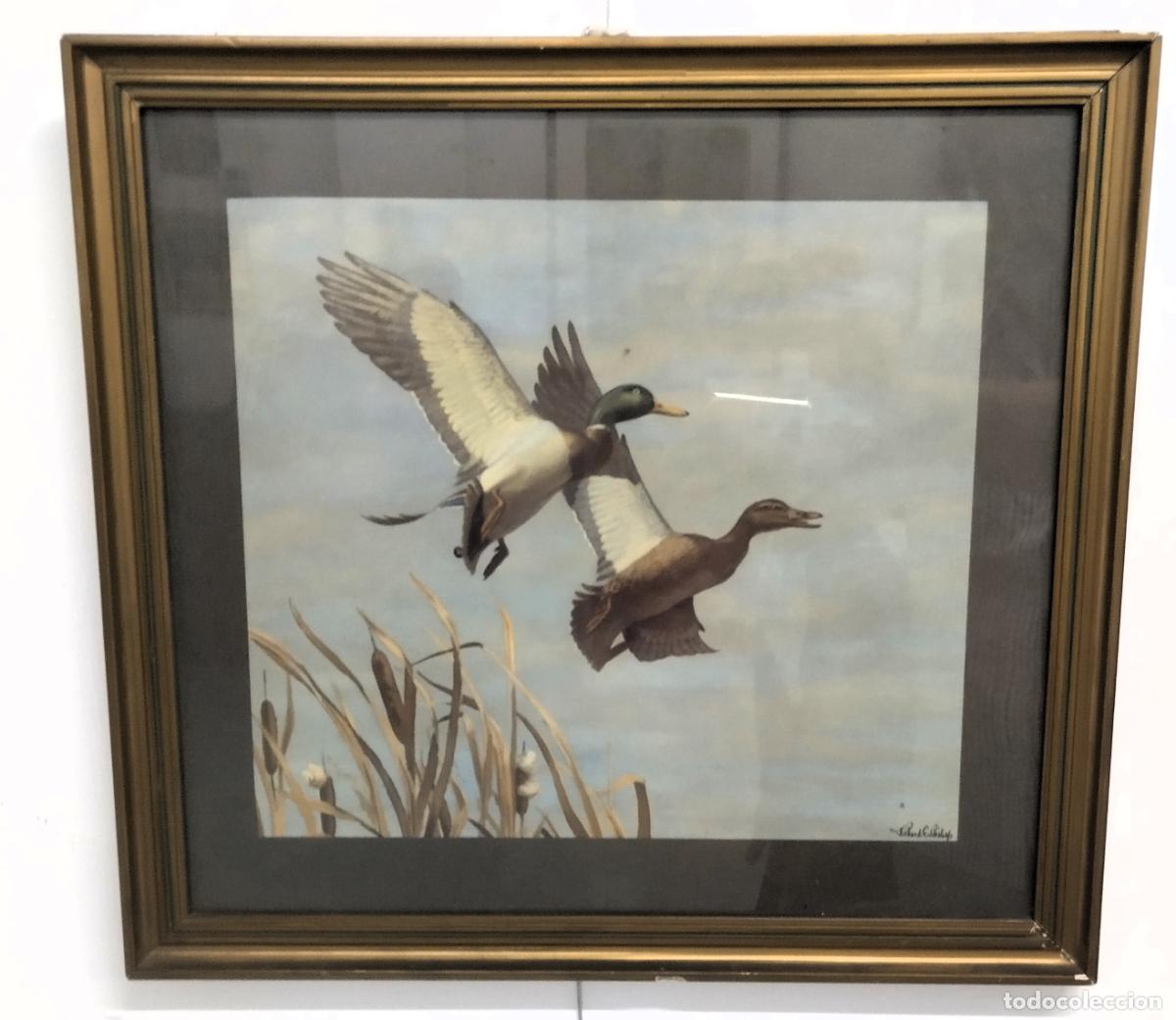 Arte: Patos volando, l&aacute;mina a partir de una acuarela del pintor americano Richard E. Bishop (1887-1995)