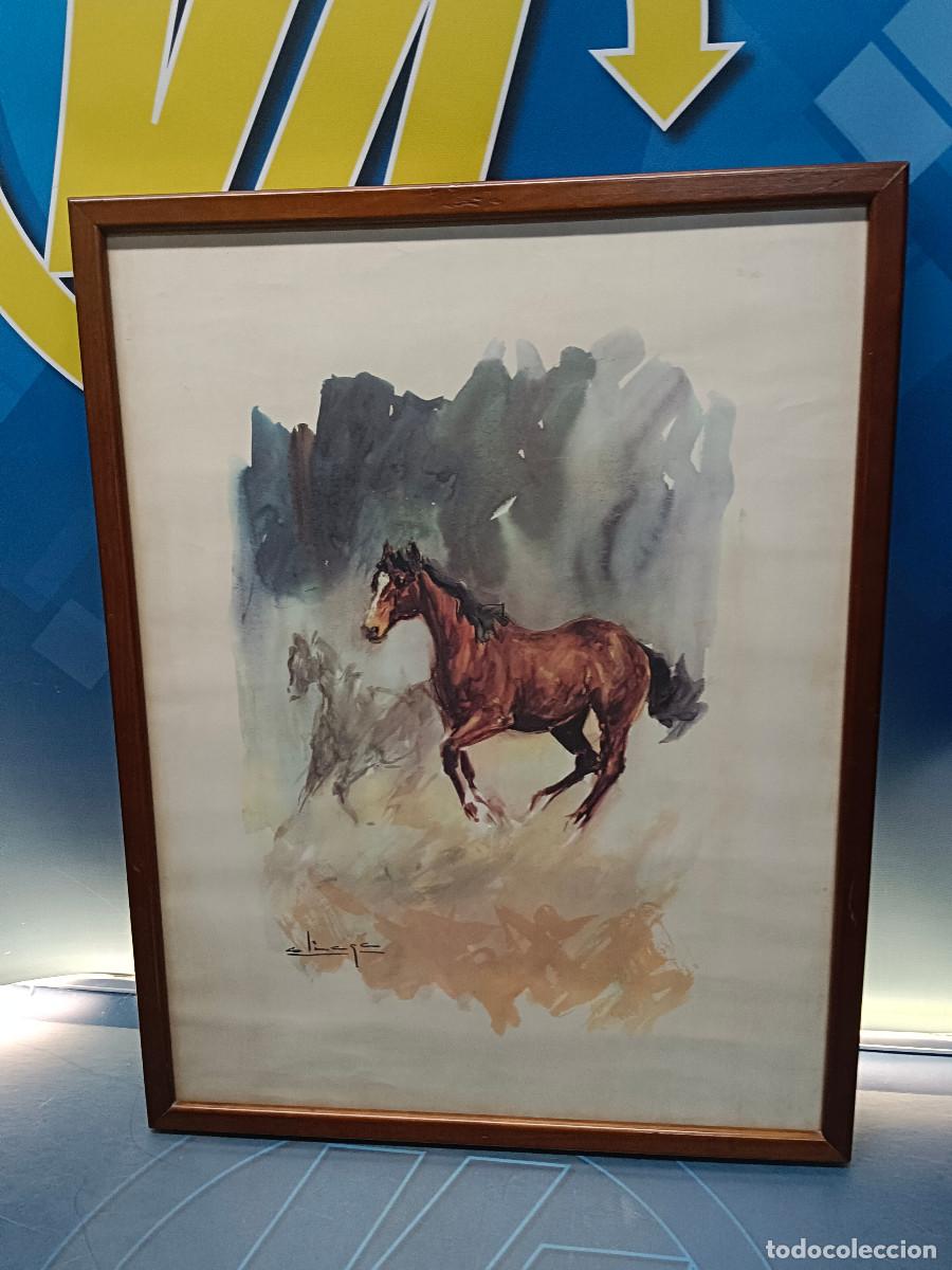 Arte: L&aacute;mina enmarcada caballo marr&oacute;n al galope de Carlos Aliaga 63x50 cm