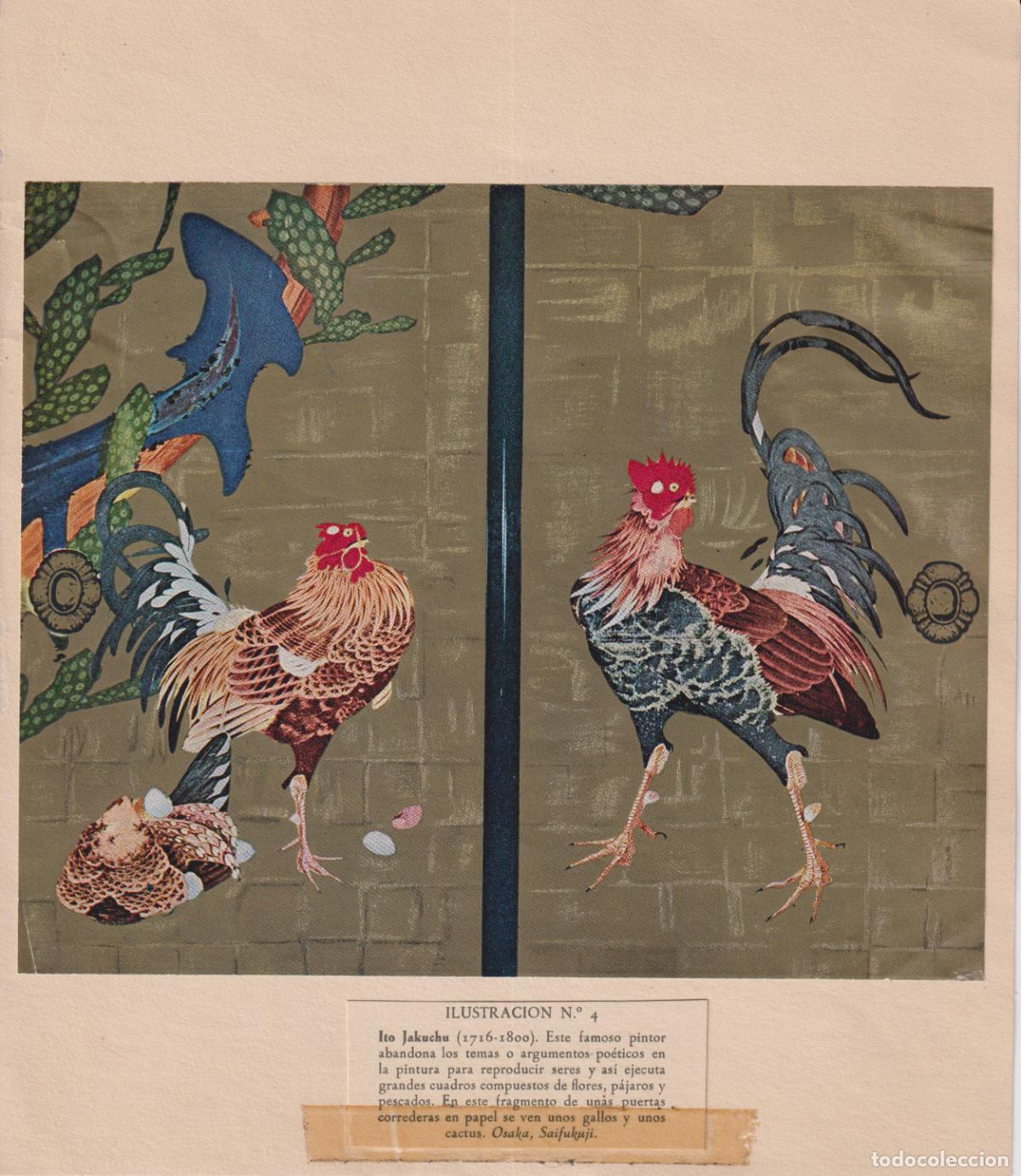 Arte: CIA. ESPA&Ntilde;OLA DE PENICILINA - L&Aacute;MINA DE PINTURA JAPONESA &ndash; ITO JAKUCHU (1716-1800)