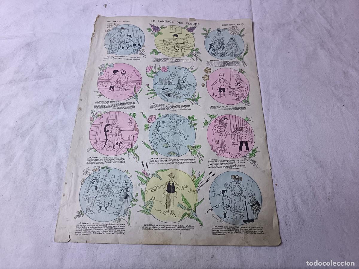 Art: Raro, S. XIX, Auca, Pliego de Cordel o L&aacute;mina Antigua, Le Langage des Fleurs, Francia, grande