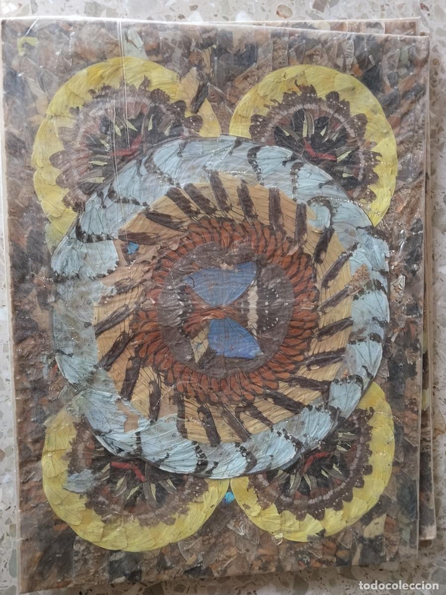 Arte: L&aacute;minas decorativas con alas de mariposa
