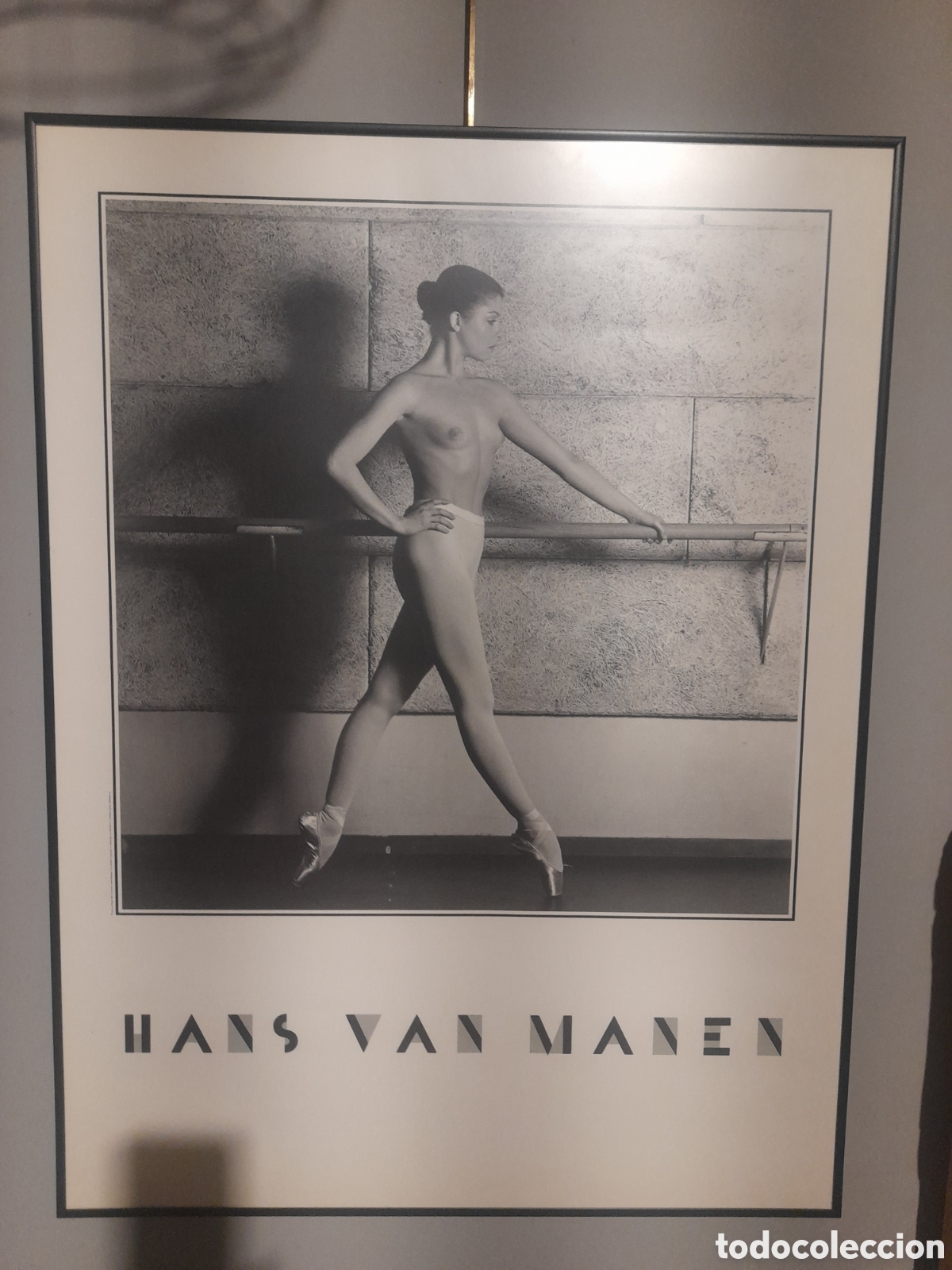 Arte: Cuadro de Hans Van Manen - Foto 1