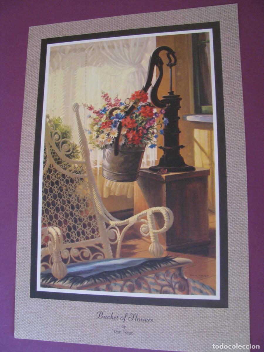 Arte: LAMINA DE DAN TOIGO. BUCKET OF FLOWERS. 30X20 CM