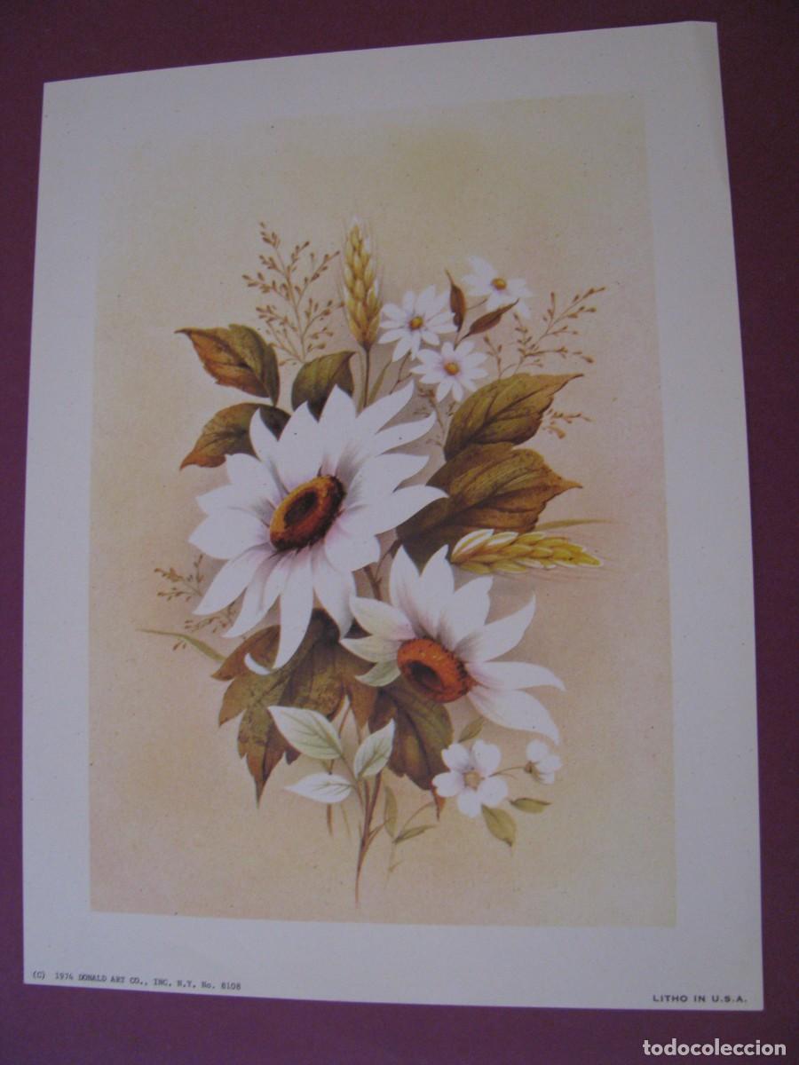 Arte: LAMINA DE DONALD ART CO. EE.UU. FLORES. 1974. 20X15 CM