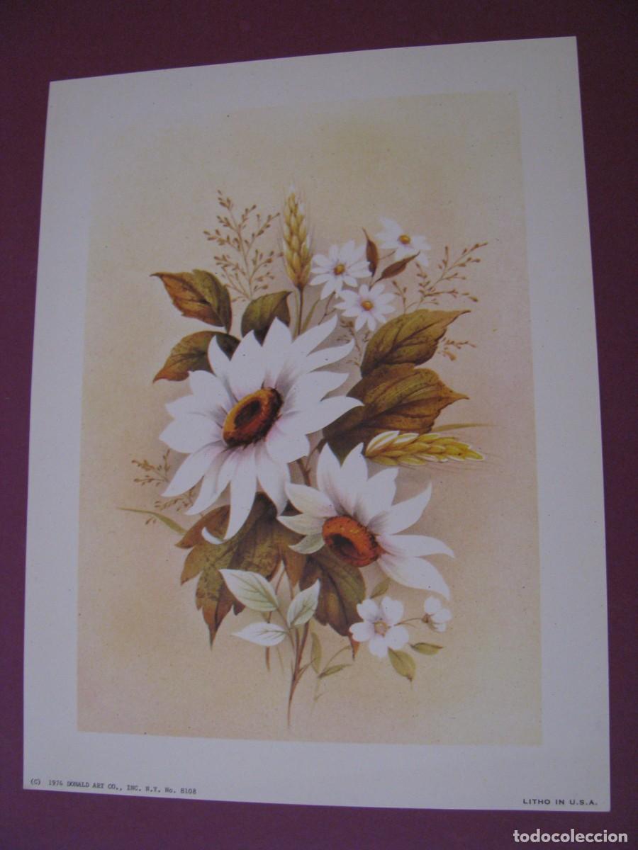 Arte: LAMINA DE DONALD ART CO. EE.UU. FLORES. 1974. 20X15 CM