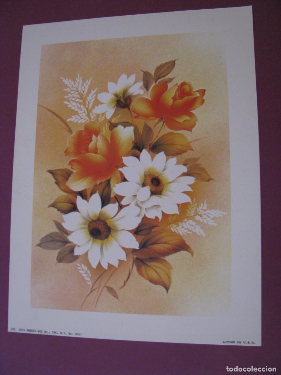 Arte: LAMINA DE DONALD ART CO. EE.UU. FLORES. 1974. 20X15 CM