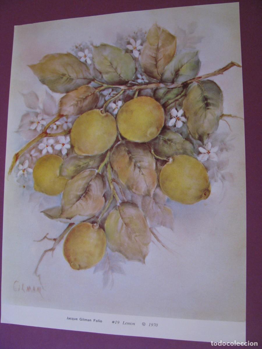 Arte: LAMINA DE IL. JACQUE GILMAN FOLIO. 1970. 27X20 CM