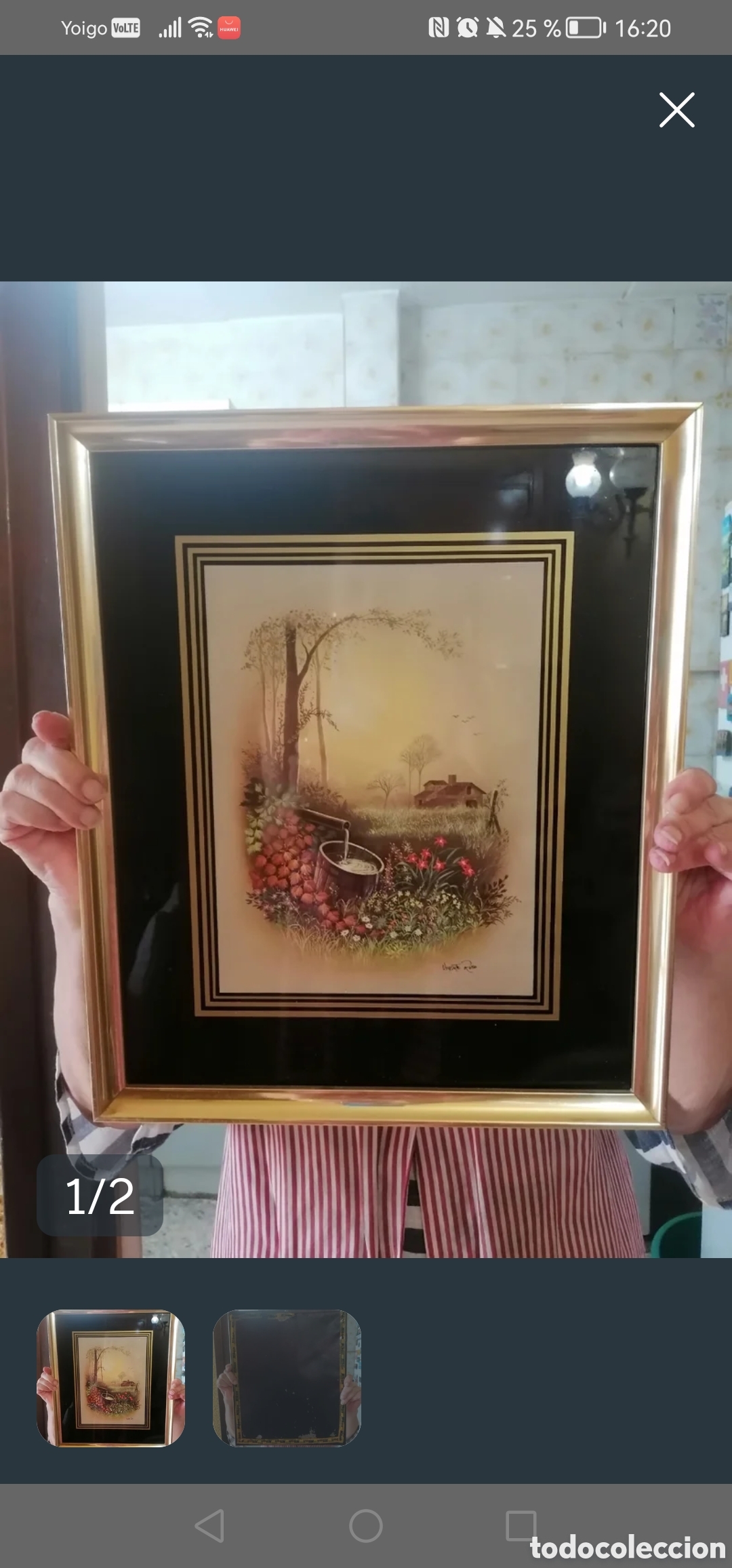 Arte: Cuadro Cl&aacute;sico paisaje Jard&iacute;n paspartu Negro Marco Dorado.