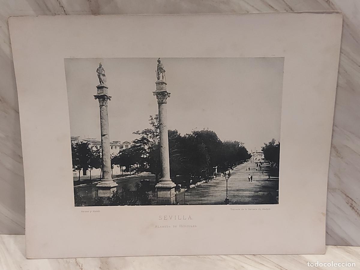 Arte: A&Ntilde;O 1892 | SEVILLA | ALAMEDA DE H&Eacute;RCULES | ESPA&Ntilde;A ILUSTRADA N.&ordm; 100 | HAUSER Y MENET | FOTOTIPIA