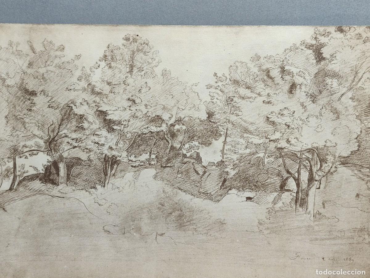 Arte: Estudio de arboles. Trente deux dessins de Camille Corot 1974.