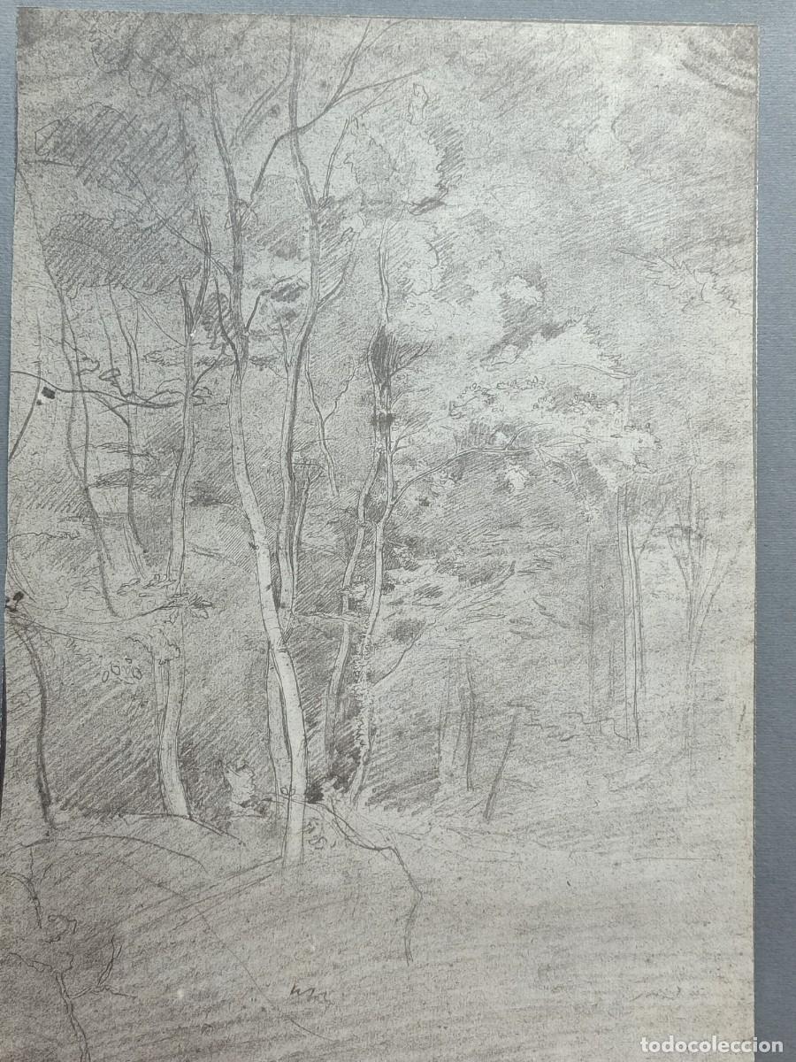Arte: Sotobosque. Trente deux dessins de Camille Corot - Leon Marotte 1974.