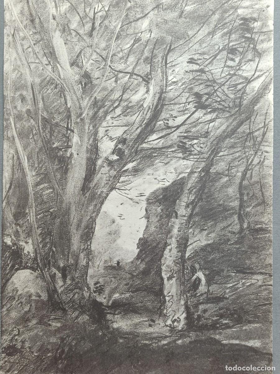 Arte: En el bosque. Trente deux dessins de Camille Corot - Leon Marotte 1974.