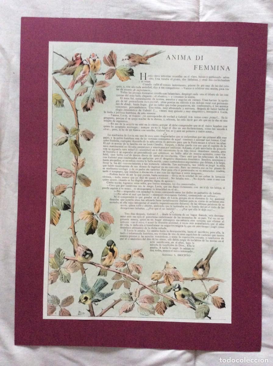 Arte: L&aacute;mina Ilustrada Original de 1900: &rdquo;Anima di Femmina&rdquo;