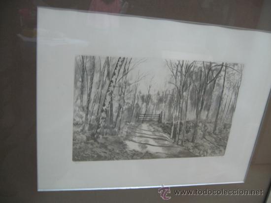 Arte: Grabado Paisaje a 1 tinta medida 55X41 cm. enmarcado firmado y numerado. 22/93 V. Arribas