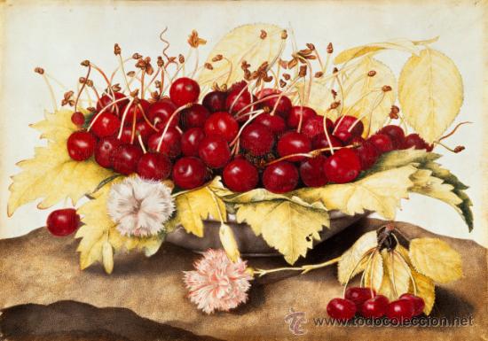 Arte: LAMINA G. GARZONI: PLATO DE CEREZAS Y CLAVELES. 70 X 50 cm. LITOGRAFIA OFFSET