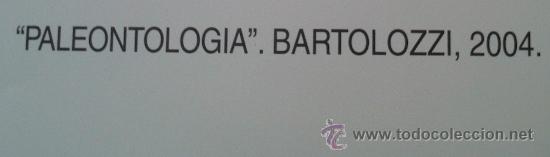 Arte: Litograf&iacute;a de Bartolozzi (Panteologia) 2004 - Foto 8