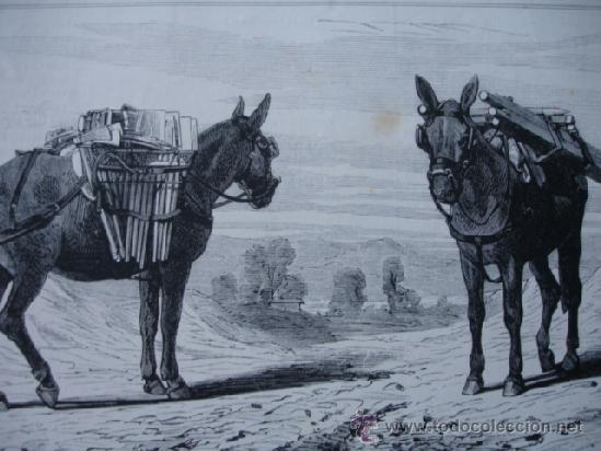 Arte: MULAS CON PARQUE DE CAMPA&Ntilde;A Y TREN DE PUENTE GUERRA CARLISTA 1874