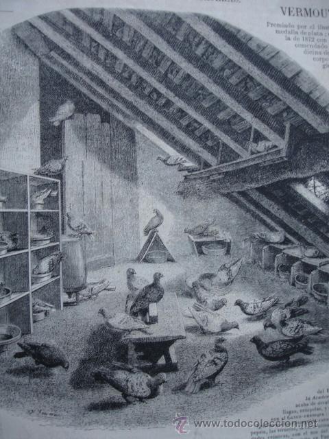 Arte: PARIS PALOMAR DE ROOSEBEKE 1874