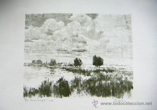 Arte: Litografia firmada Tim Ansens - Foto 1