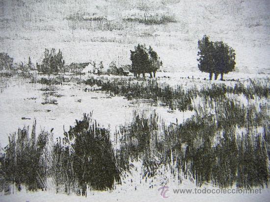 Arte: Litografia firmada Tim Ansens - Foto 2