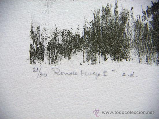 Arte: Litografia firmada Tim Ansens - Foto 3