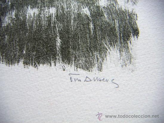 Arte: Litografia firmada Tim Ansens - Foto 4