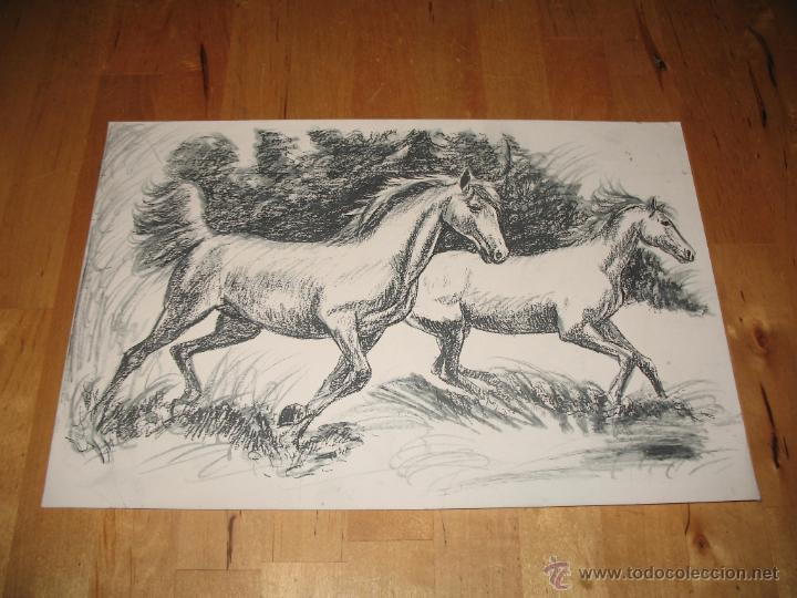 dibujo de caballos en blanco y negro