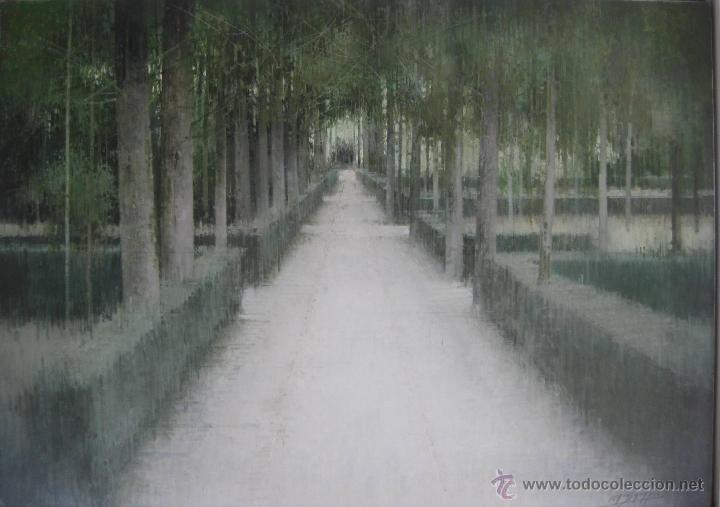 Arte: Jardin de Carlos Morago - Foto 1