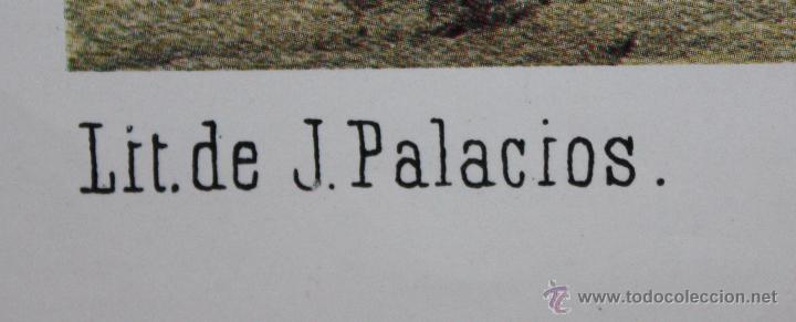 Arte: LITOGRAF&Iacute;A DE J. PALACIOS TITULADA LA LIDIA - Foto 2