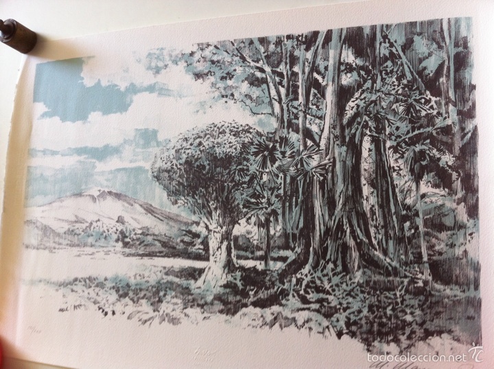 Arte: Litograf&iacute;a Manuel Mayoral - Foto 2