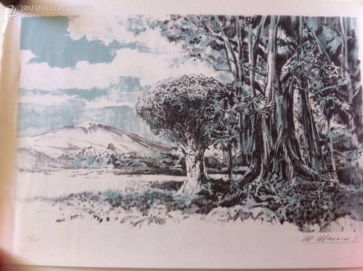 Arte: Litograf&iacute;a Manuel Mayoral - Foto 6