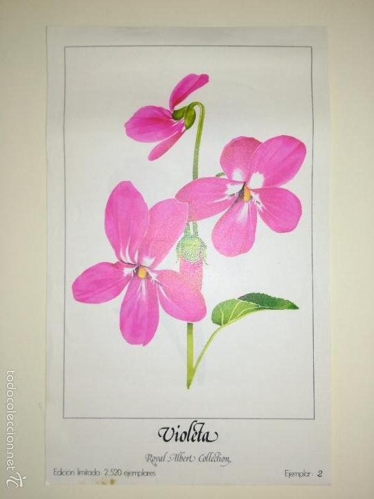 Arte: l&aacute;mina # 2 de Albert Royal Collection. Violeta. - Foto 1
