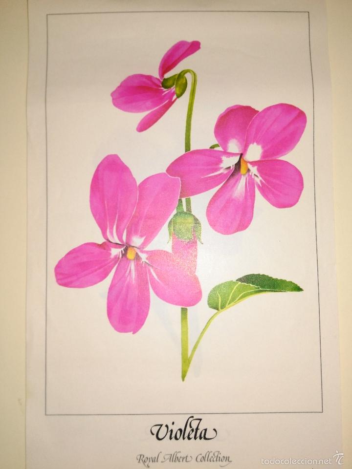 Arte: l&aacute;mina # 2 de Albert Royal Collection. Violeta. - Foto 2