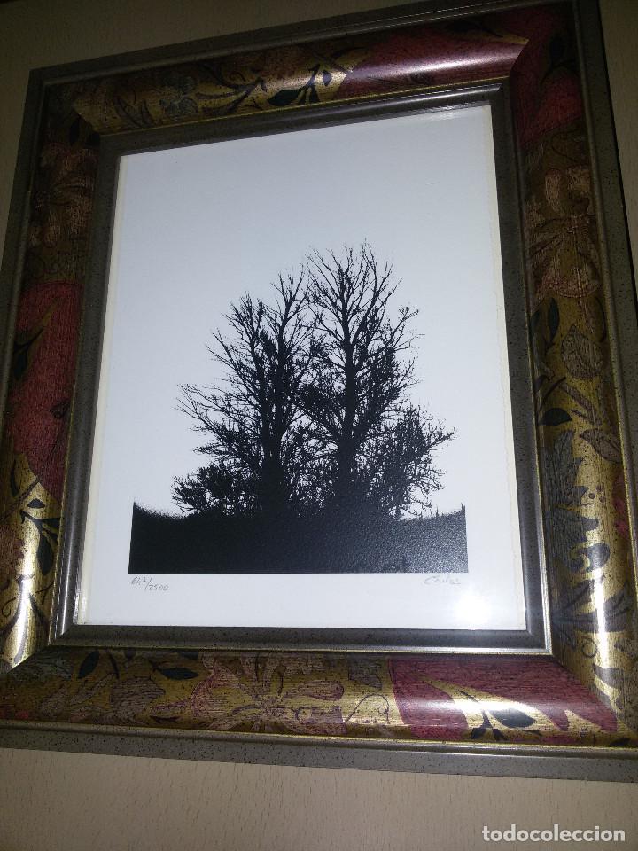 Arte: Litograf&iacute;a? ENMARCADA - Foto 4