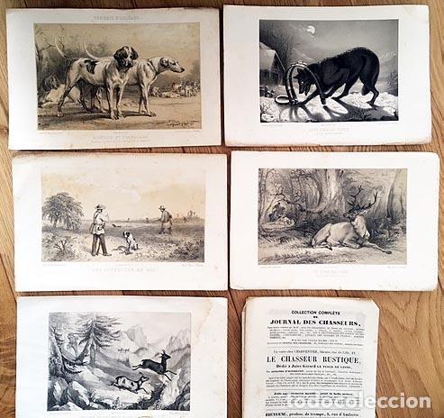 Arte: Caza. 5 litograf&iacute;as pertenecientes a Journal des Chasseurs. Paris, 1847.
