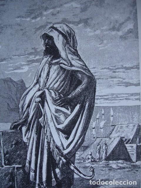 Arte: TARIK IBN ZYAD . SERRA PAUSAS - Foto 1