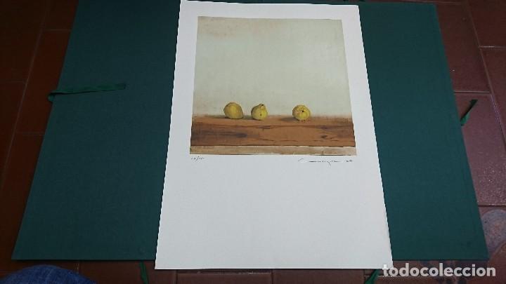 Arte: LITOGRAF&Iacute;A C M&Aacute;RQUEZ, NUMERADA, IBERDROLA - Foto 1