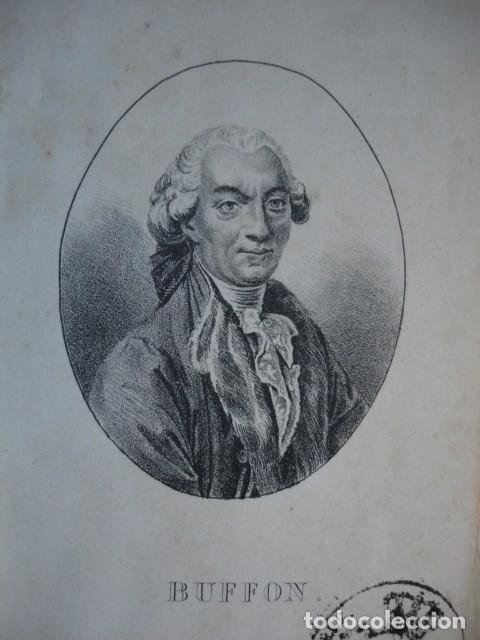 Arte: BUFFON  .ZOOLOGIA . A&Ntilde;O 1848