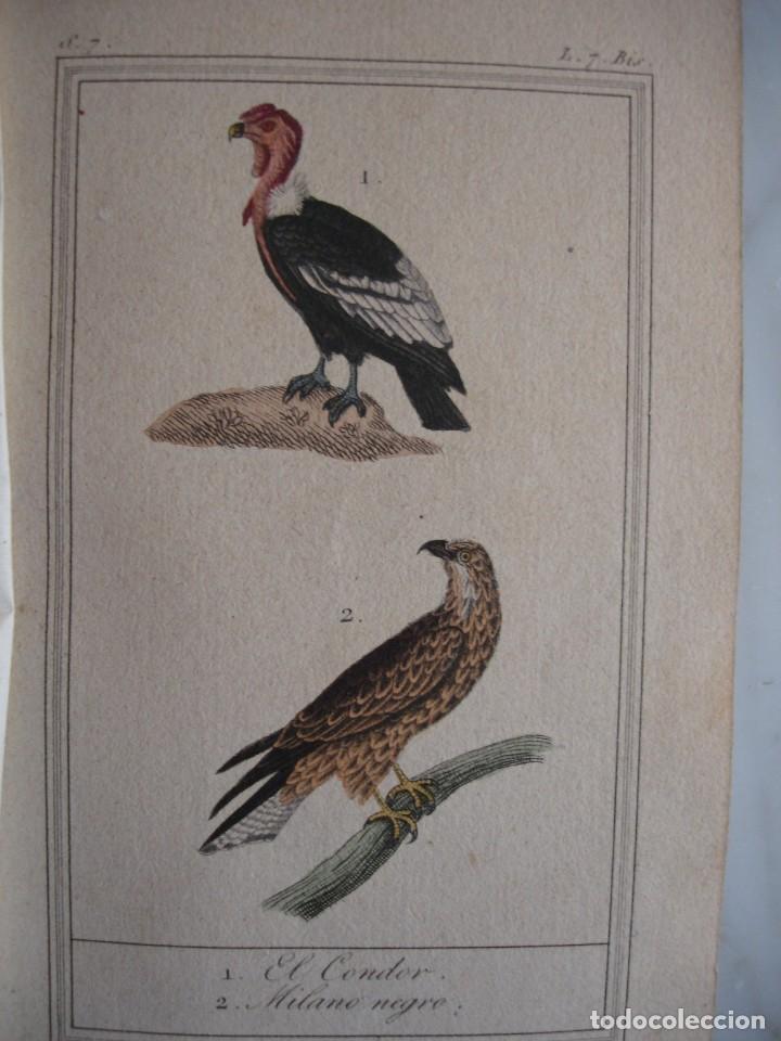 Arte: EL CONDOR  MILANO NEGRO .COLOREADA A MANO 1841 GRABO TARDIEU PAJAROS ORNITOLOGIA